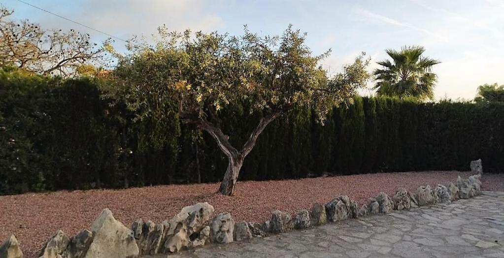 Villa Marti Calp Dış mekan fotoğraf