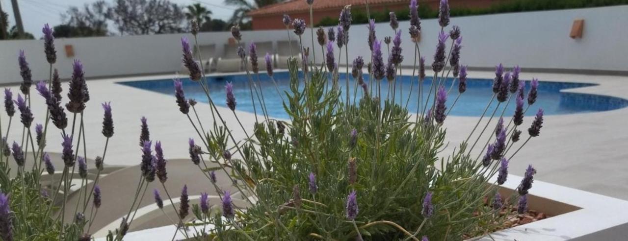 Villa Marti Calp Dış mekan fotoğraf